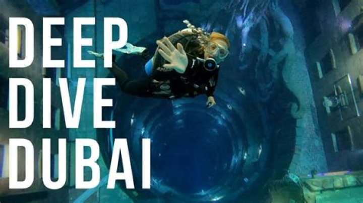 A Deep Dive For "andi19" Enthusiasts