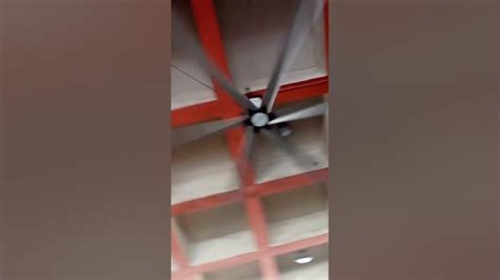 Biggest Fan ever YouTube