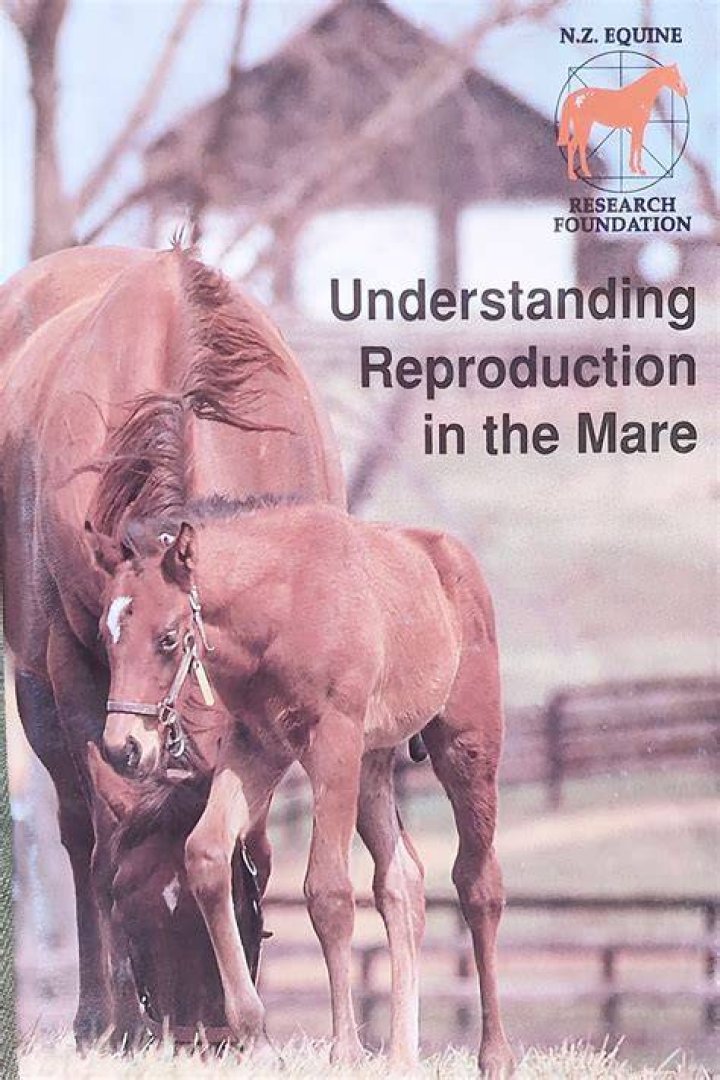 Does Mating Hurt the Mare? Understanding Equine Breeding Comfort