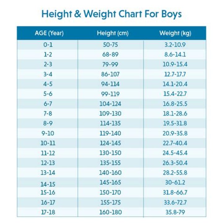 Megan Fox's Weight And Height Decoded