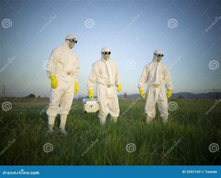 People with mascs stock image. Image of searching, belt 3592169