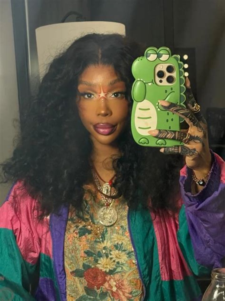 POC CENTRIC Sza instagram, Instagram story, Dye my hair
