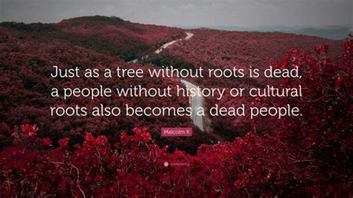 Read A Tree Without Roots Chapter 22 ManhuaScan