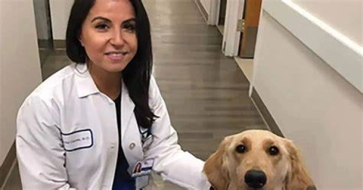 Who Was Krystal Cascetta? Top NYC Cancer Doctor Shoots Dead Her Baby